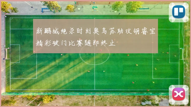 新鹏城绝杀时刻奥乌苏助攻胡睿宝精彩破门比赛随即终止